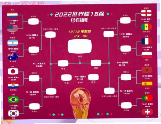 世界杯预测网站数据来源是否可靠？判断方法