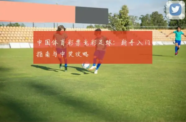 中国体育彩票竞彩网足球分析指南